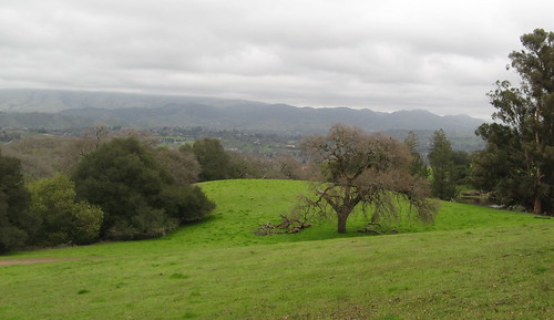 View from along the Virgil Williams Trail