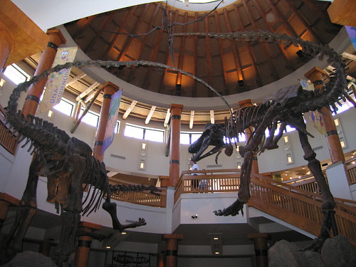Inside the Jurassic Park Visitor Center
