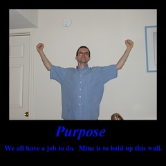 Pupose: We all have a job to do. Mine is to hold up this wall.