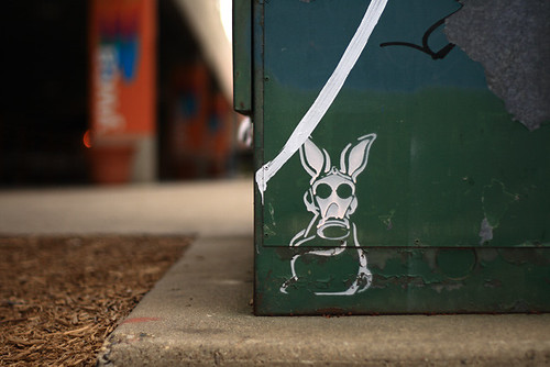Rabbit Graffiti 1473