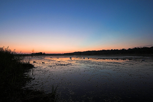 Marsh After sunset