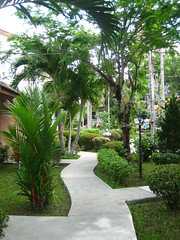 the hotel's garden