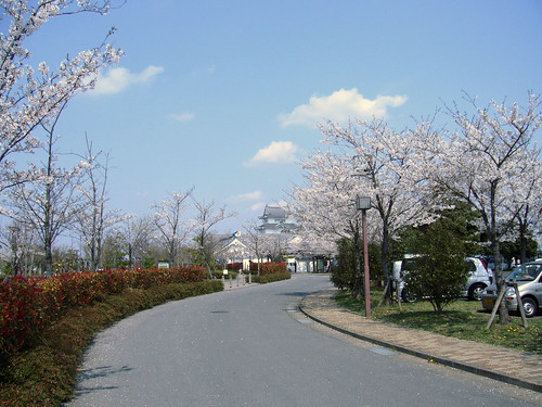 春の関宿城