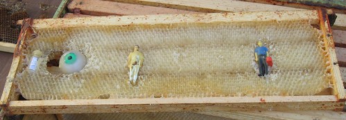 Beekeeping 2287