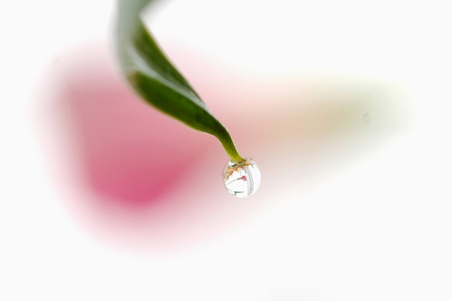 in the droplet by yoshiko314.