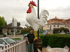 Barn Burner Chicken