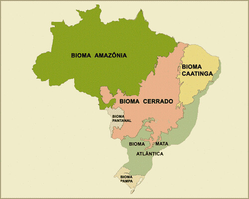 Biome Caatinga