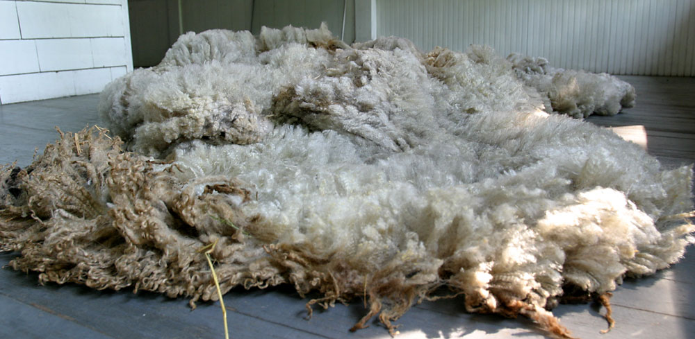 Edsal's fleece