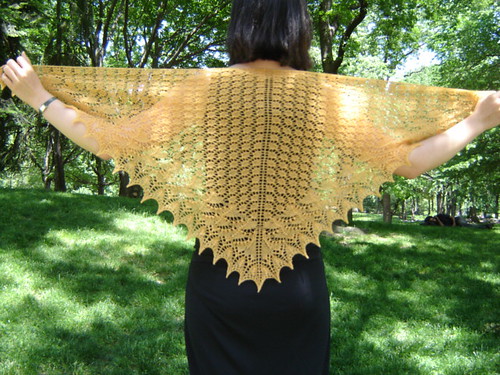 swallowtail shawl