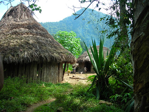 The houses of the Tayrona people por Emily Cunnane.
