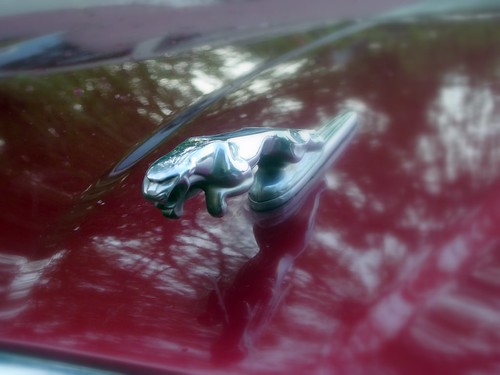 Filed under: Hood Ornaments by