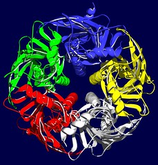Protein (GABA-R)