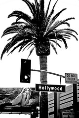 Hollywood Blvd. - by Shavar Ross