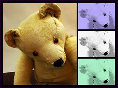 Teddy Bear with Variations
