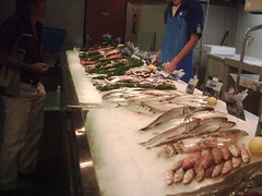 fish halls 2