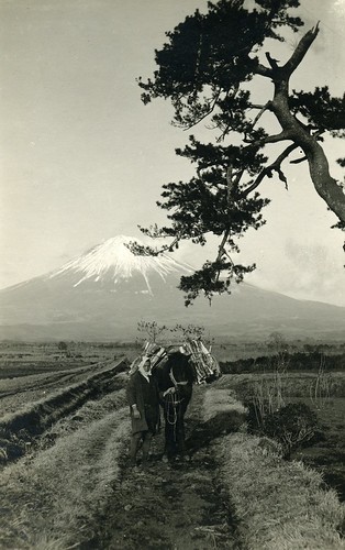Mt Fuji 富士山 and Farm and Wood Gatherer by born1945