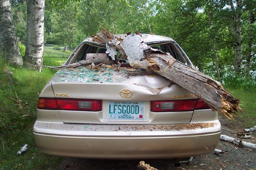 May 15 2009 800 am Posted in Crashed Cars Sedans Wrecked Cars 