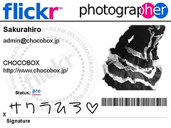 Flickr Badge
