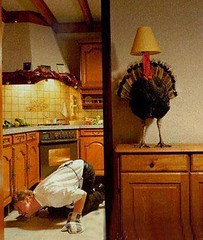 turkey escape