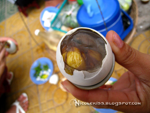 duck fetus egg when open