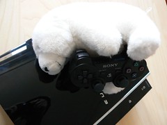 Knut erobert PS3