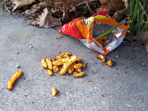 Ants and Cheetos