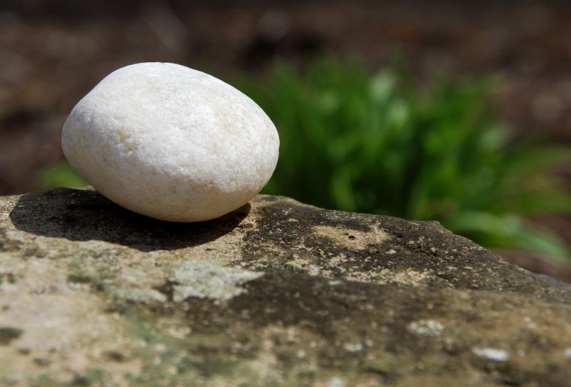 stone with grass