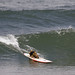 dog-saint-kat-surfing_0269