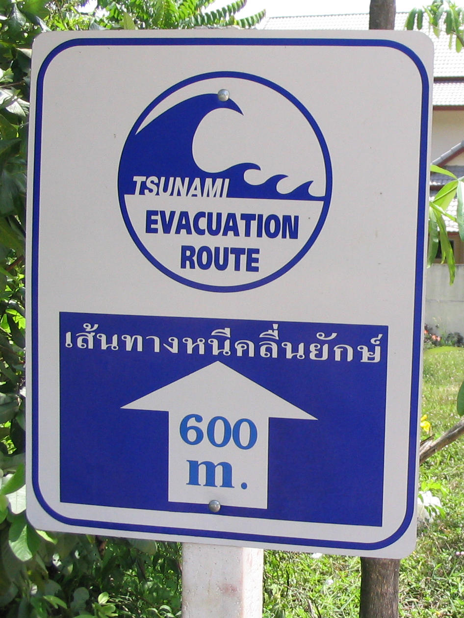 Tsunami 600m