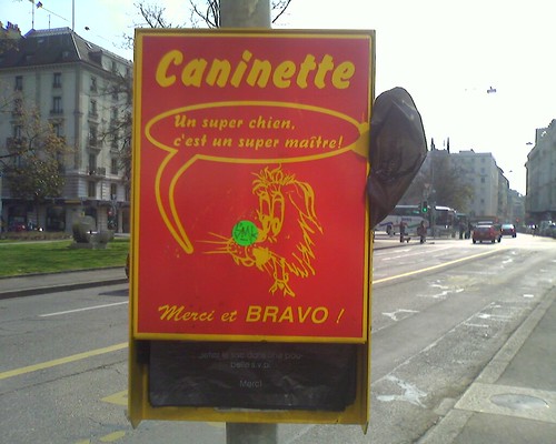 canintte