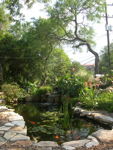 Japanese koi pond at Barry & Kathii's house
