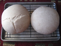 Sour dough loaves