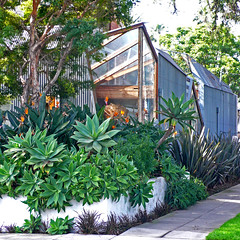 Frank Gehry's House