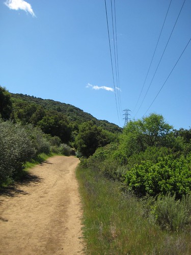 Powerline, trail