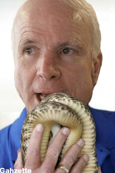 McCain Snake Handler