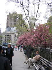 Madison Square Park by alistairmcmillan, on Flickr
