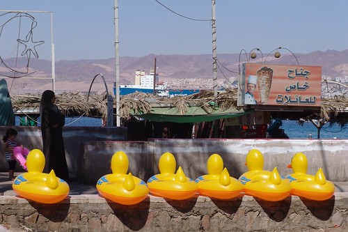 sitting ducks in Aqaba