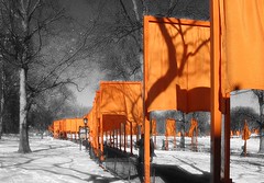 The Gates, Central Park