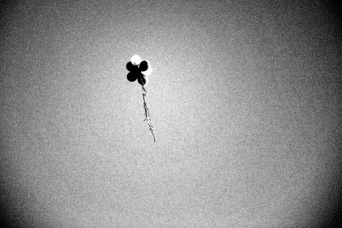 Balloons in B&W