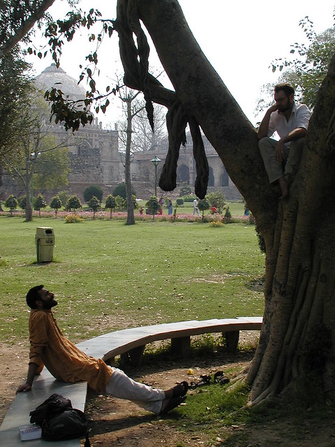Ravi Tree and I New Delhi by electricfrog