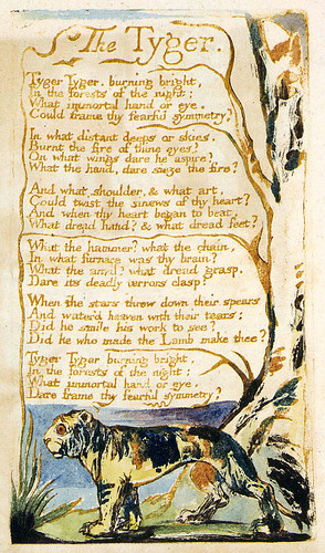 william blake tyger. William Blake#39;s Tyger. The famous poem