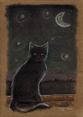 cat under moon