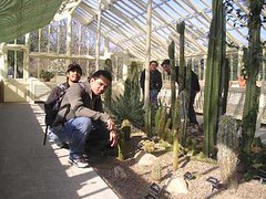 Kaktus2 kat National Botanic Garden