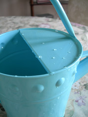 Blue water pail