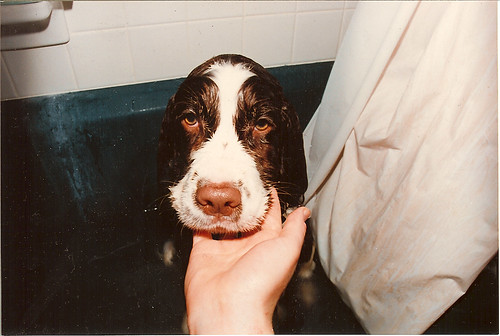 feidler's first bath (1992)