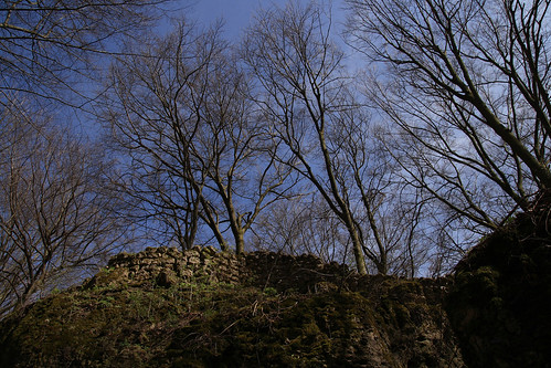 Felsengarten Sanspareil