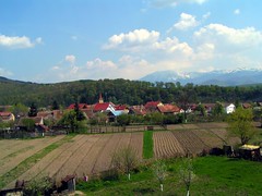agricultura romaneasca
