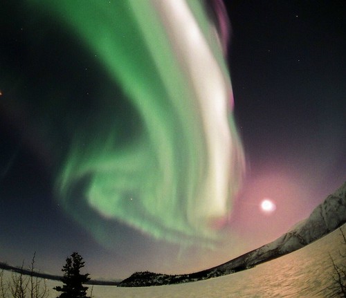 aurora borealis by David Cartier