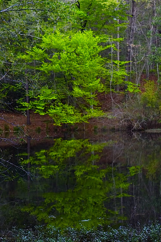 green, reflected