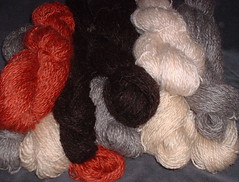 pile yarn